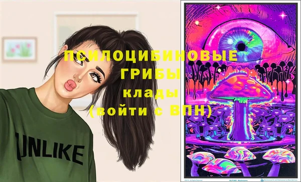 прущие грибы Абинск