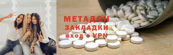 прущие грибы Абинск