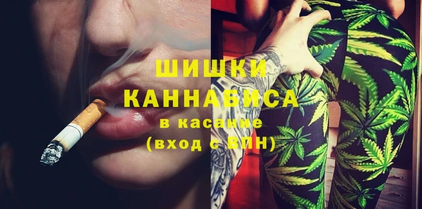 прущие грибы Абинск