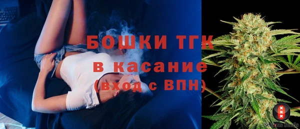 прущие грибы Абинск