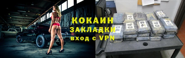 прущие грибы Абинск
